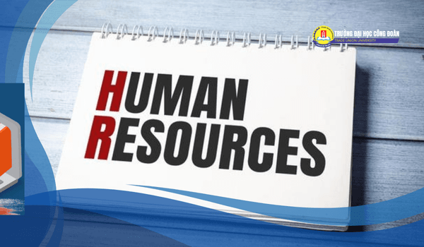 Featured image for: Vai trò của quản trị nguồn nhân lực trong doanh nghiệp