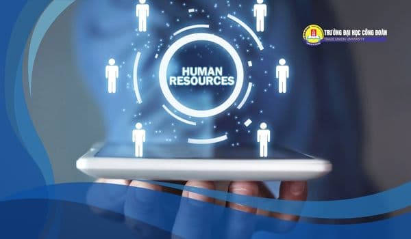 Featured image for: Học quản trị nhân lực ra làm gì? 5 vị trí được trả lương cao trong ngành