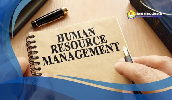 Featured image for: Các trường có ngành quản trị nhân lực uy tín nhất hiện nay