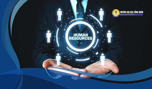 Featured image for: Mức lương ngành quản trị nhân lực: Toàn cảnh thu nhập theo từng chuyên ngành