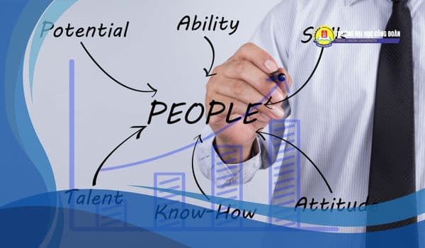 Featured image for: Yêu cầu của ngành quản trị nhân lực là gì trong năm 2026